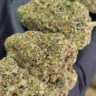 Cereal Milk x Gelato